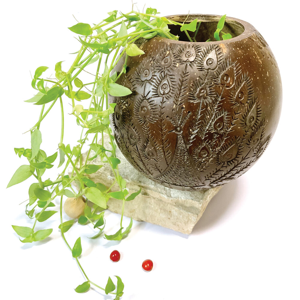 Warli Peacock Coconut Shell Bowl